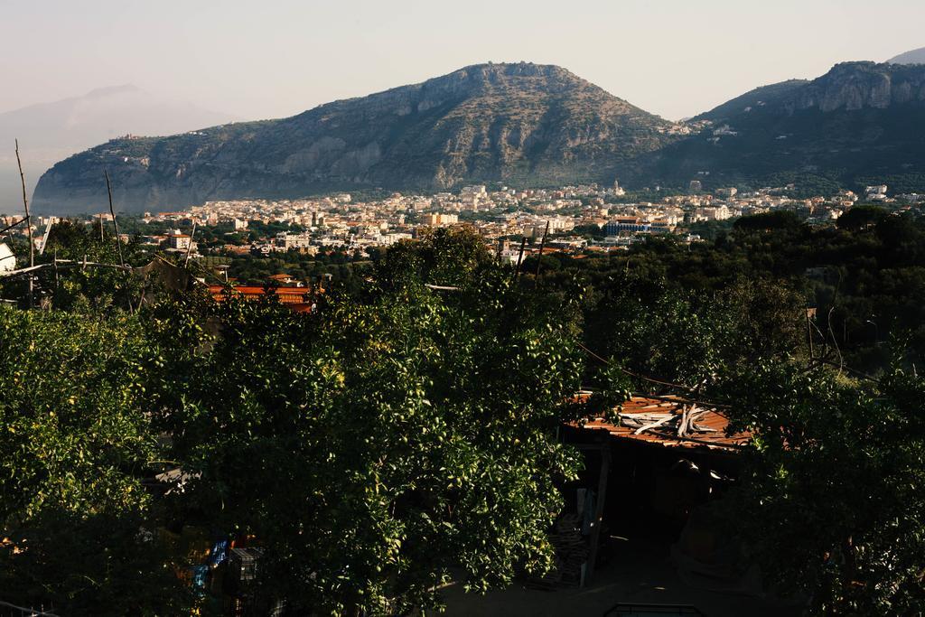 Patrizia Casa Vacanze サンタニェッロ 部屋 写真